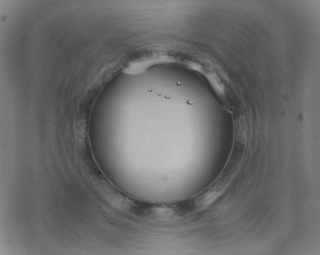 X0000070430509200606231921