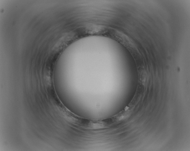 X0000070430510200606231921