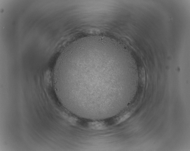 X0000070430511200606231921