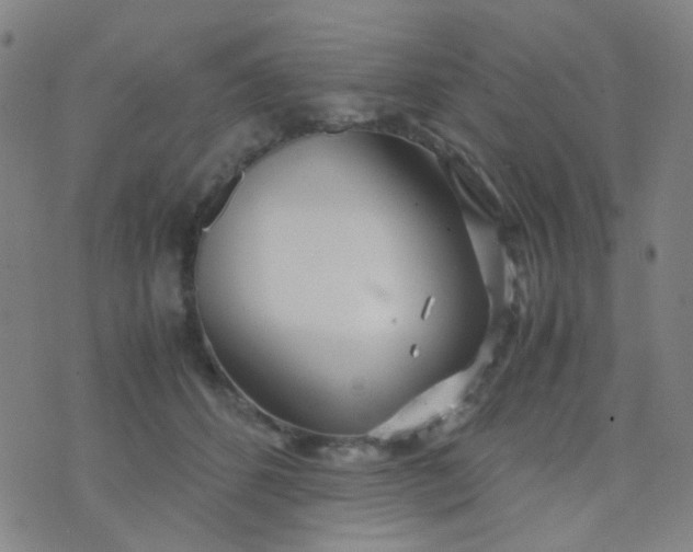 X0000070430512200606231921