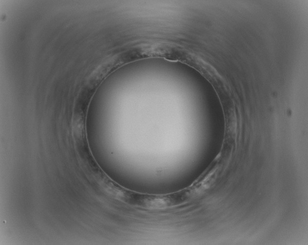 X0000070430513200606231921