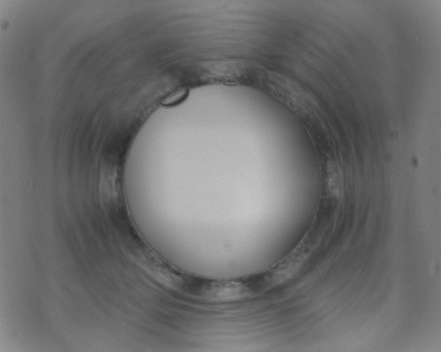 X0000070430514200606231921