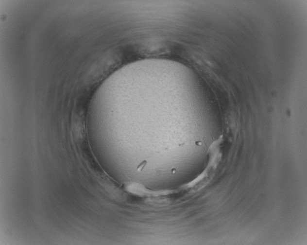 X0000070430515200606231921