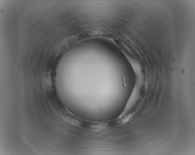 X0000070430516200606231921