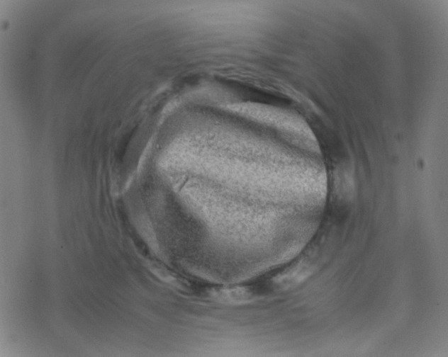 X0000070430517200606231921