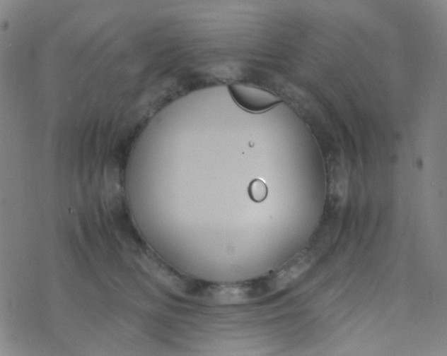 X0000070430518200606231921