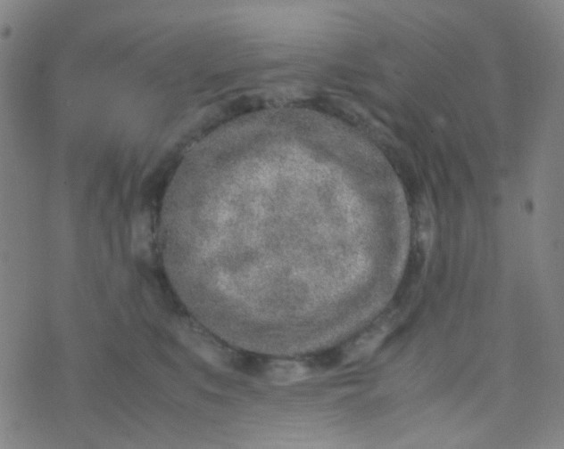 X0000070430519200606231921