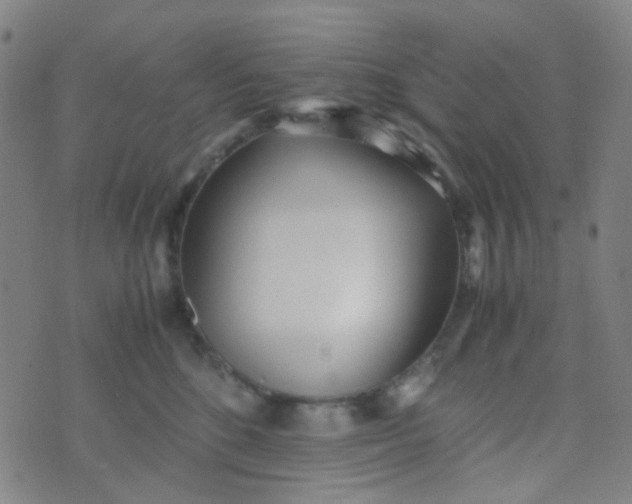 X0000070430520200606231921