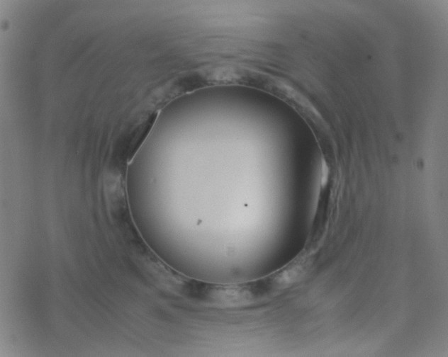 X0000070430521200606231921