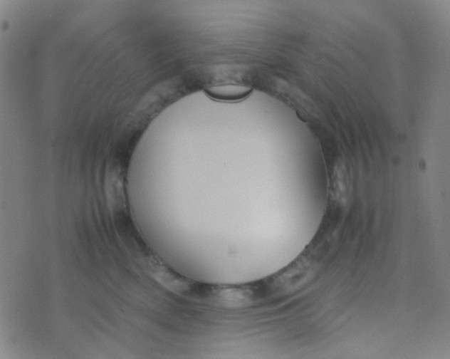 X0000070430522200606231921