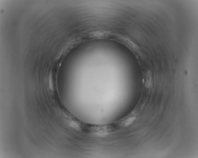 X0000070430524200606231921