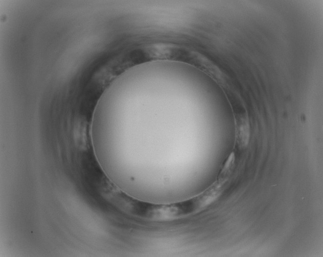 X0000070430525200606231921