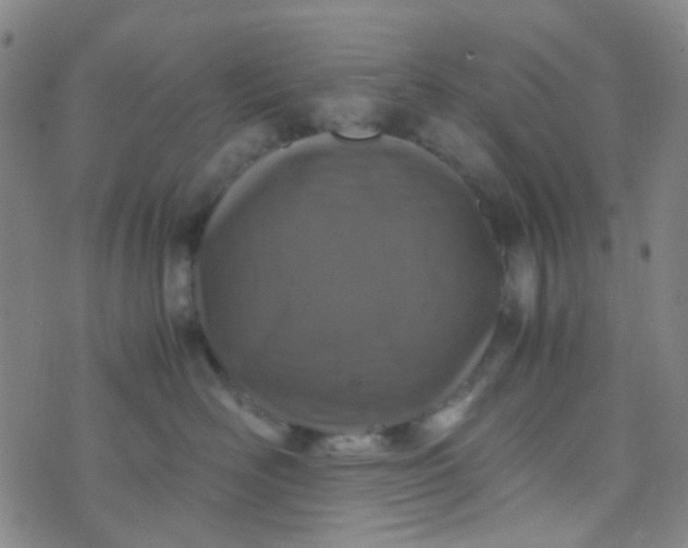 X0000070430526200606231921