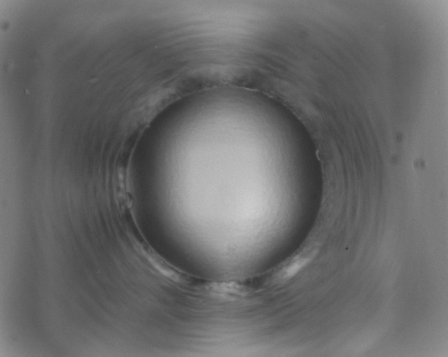 X0000070430528200606231921