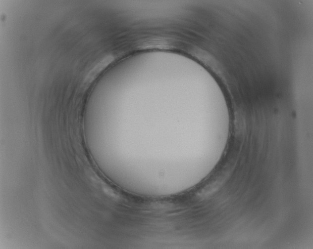 X0000070430529200606231920