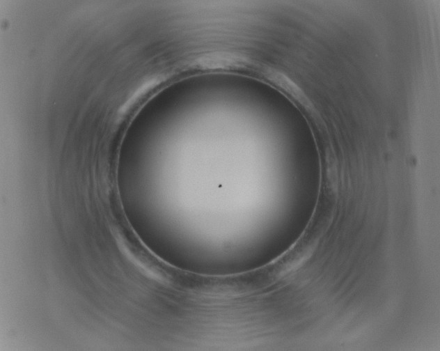 X0000070430530200606231920