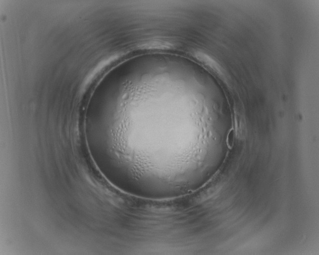 X0000070430531200606231920