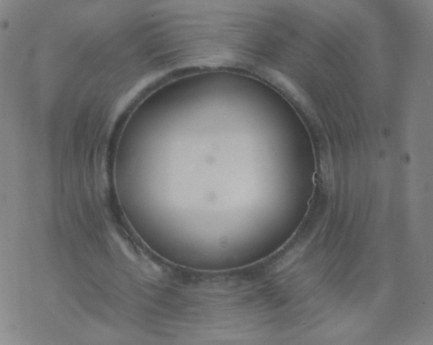 X0000070430532200606231920