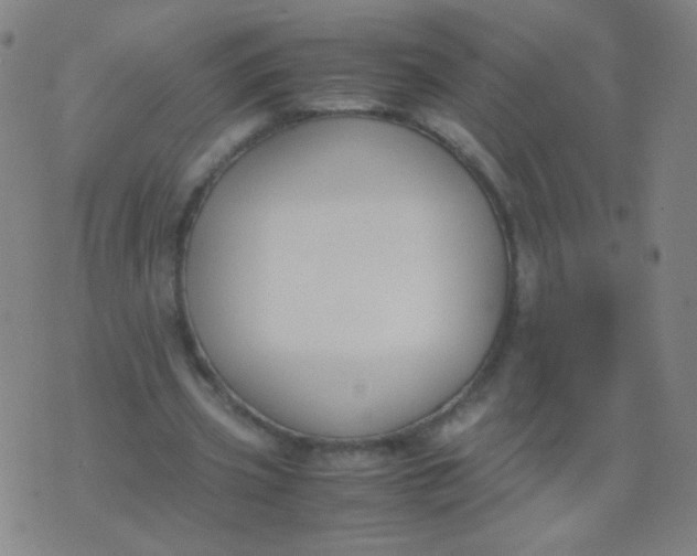 X0000070430533200606231920