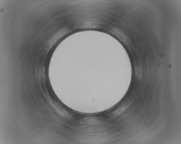 X0000070430534200606231920