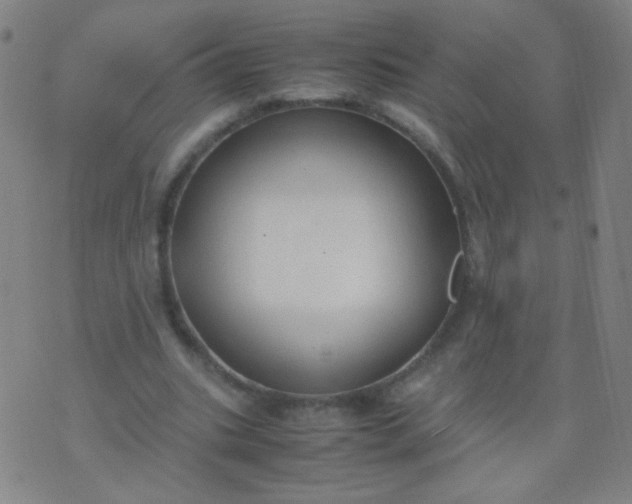 X0000070430535200606231920