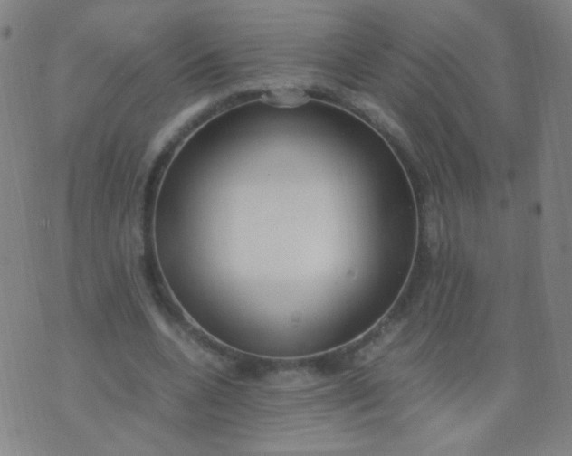 X0000070430536200606231920