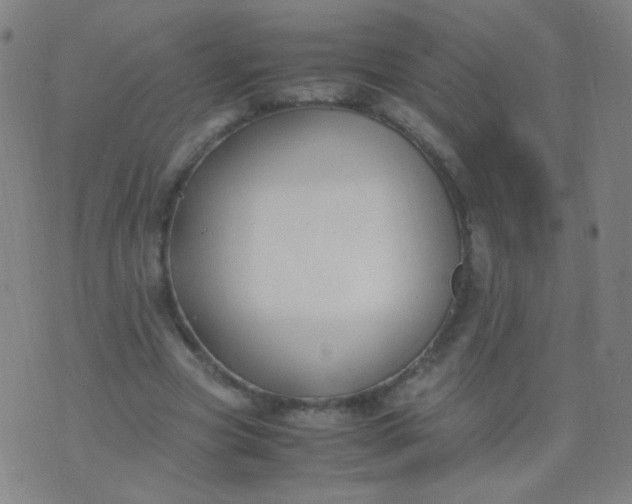 X0000070430537200606231920