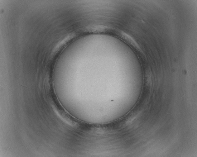 X0000070430538200606231920