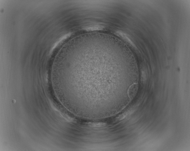 X0000070430539200606231920