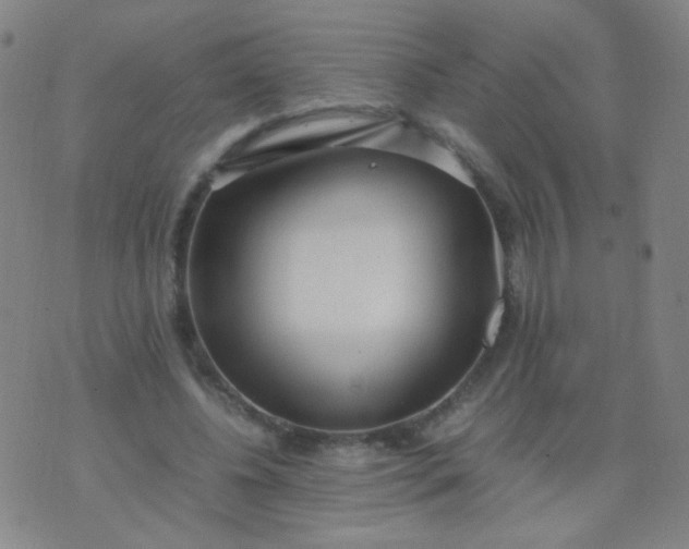 X0000070430540200606231920