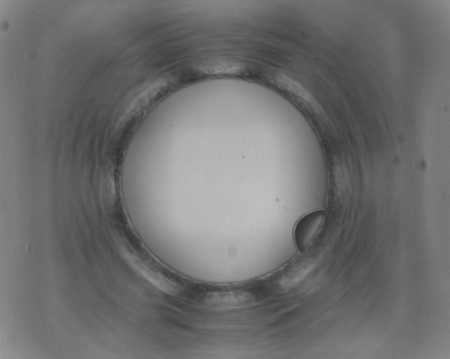 X0000070430541200606231920