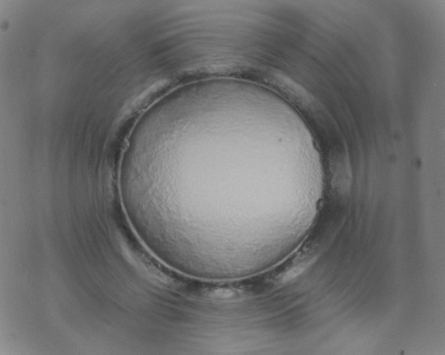 X0000070430542200606231920