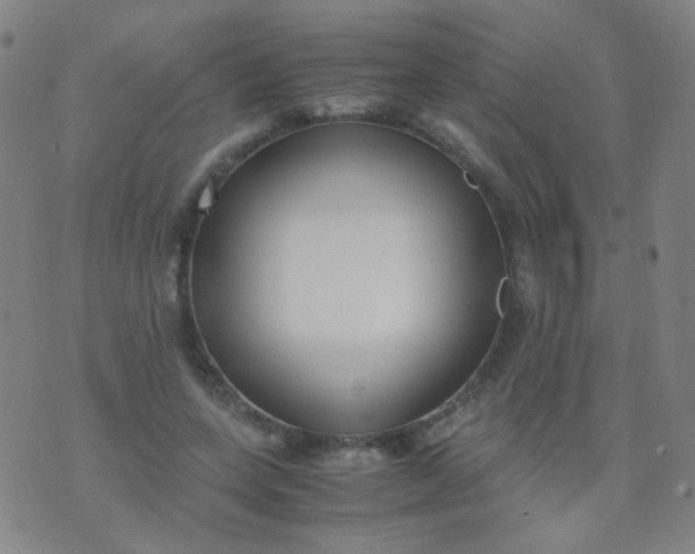 X0000070430543200606231920