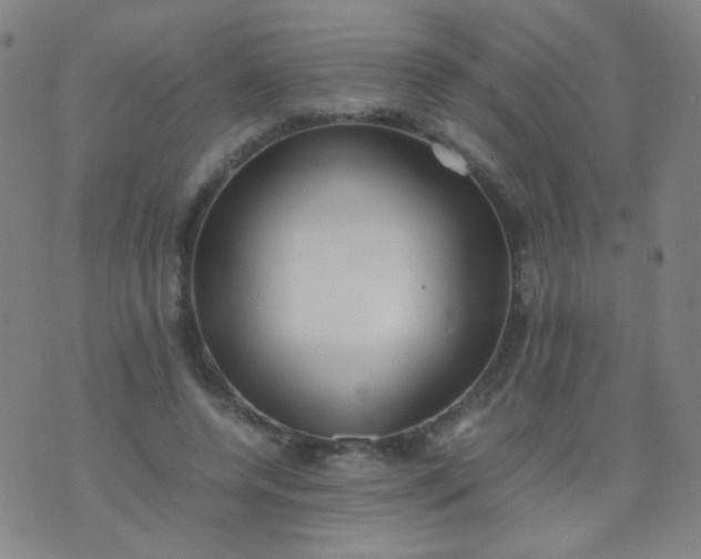 X0000070430544200606231920