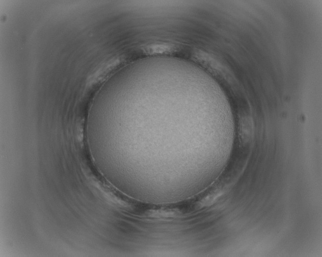 X0000070430545200606231920