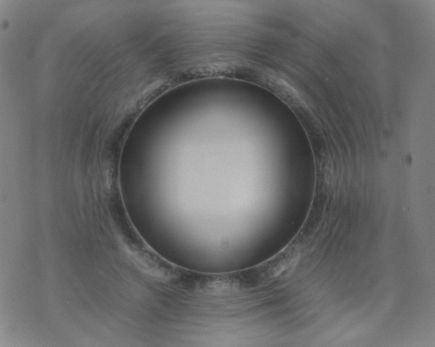 X0000070430546200606231920