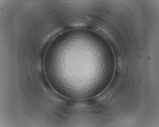 X0000070430547200606231920