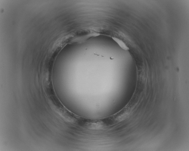 X0000070430548200606231920