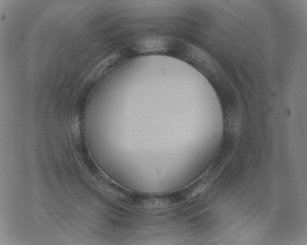 X0000070430549200606231920