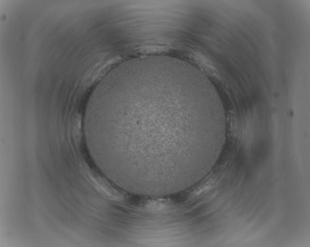 X0000070430550200606231920