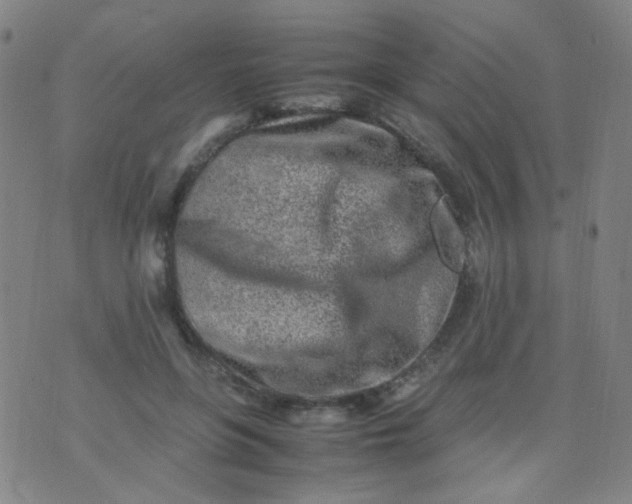 X0000070430551200606231920