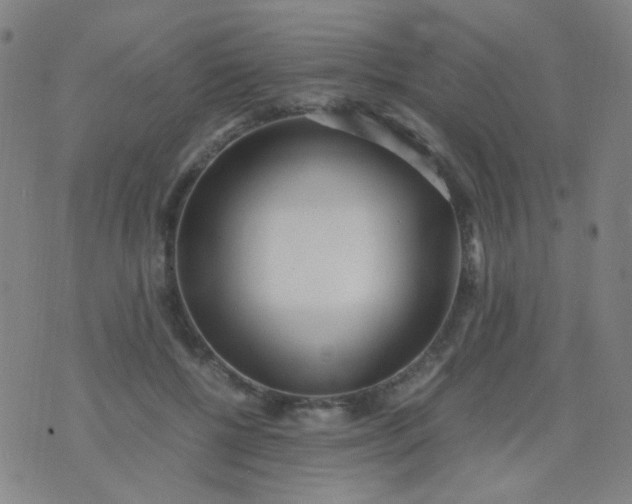 X0000070430552200606231921