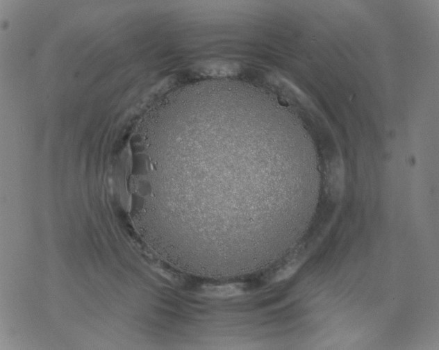 X0000070430553200606231921