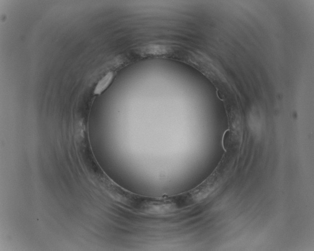 X0000070430555200606231921