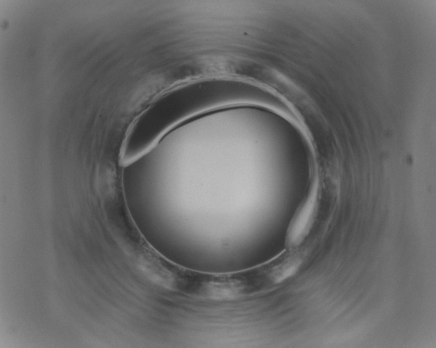 X0000070430556200606231921