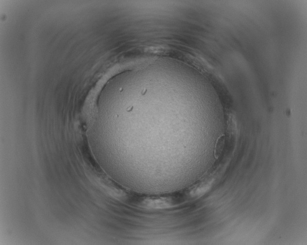 X0000070430557200606231921