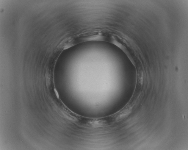 X0000070430558200606231921