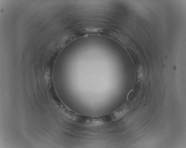 X0000070430559200606231921