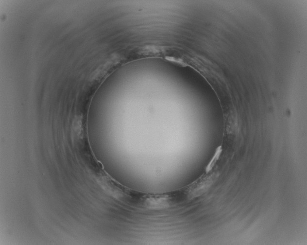 X0000070430560200606231921