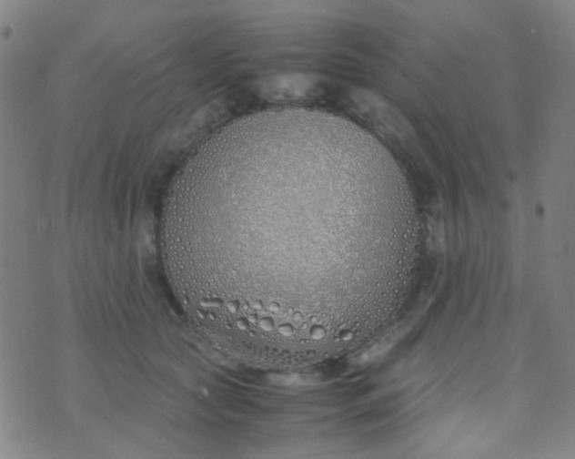 X0000070430561200606231921